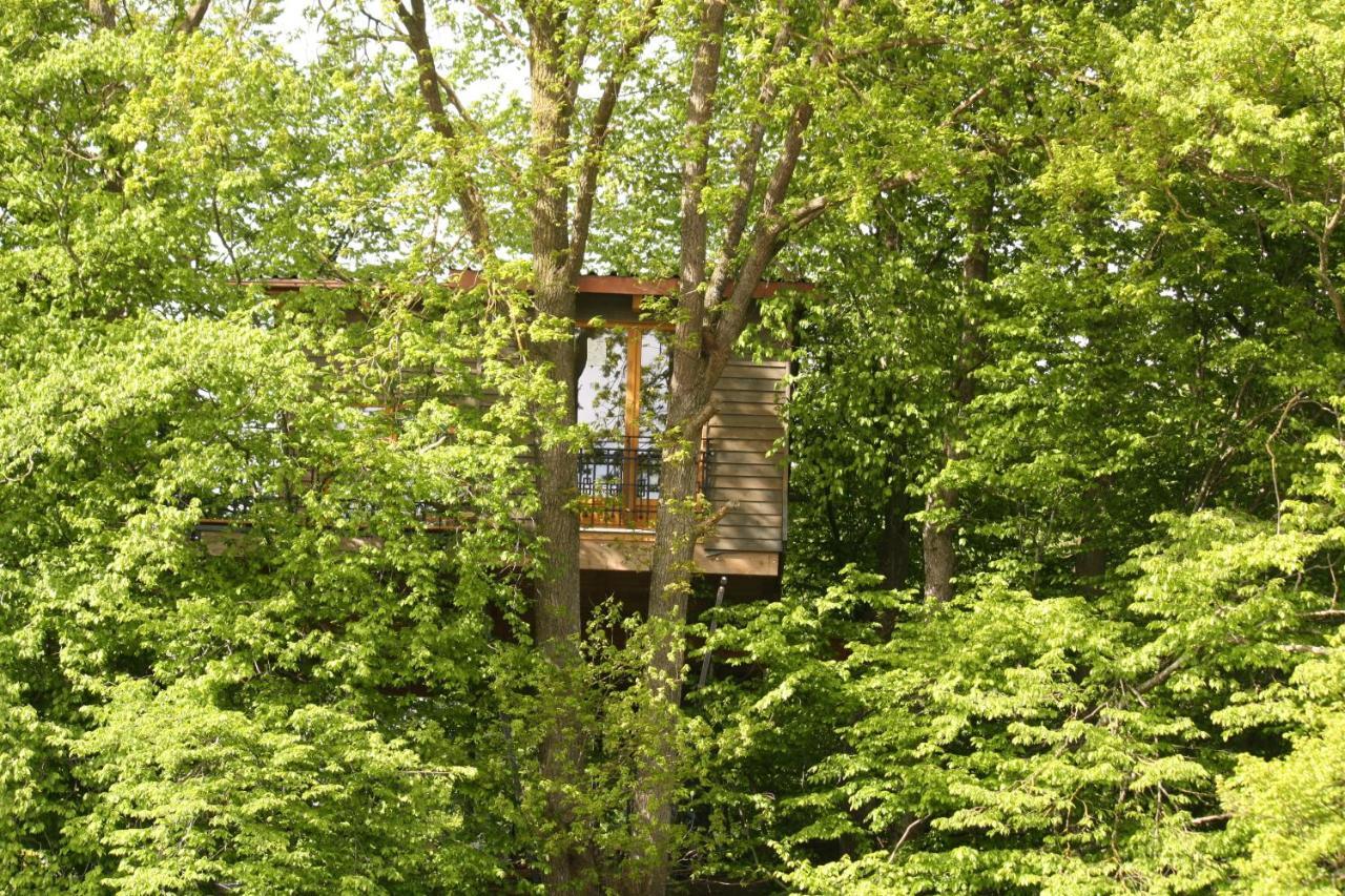 Baumhaus Auf Dem Kellerberg Villa Fischach Екстериор снимка